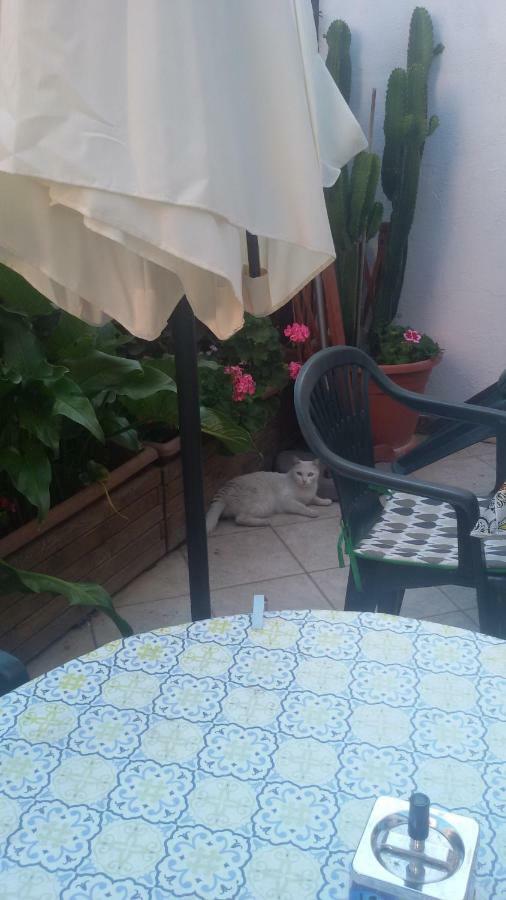 Appartement Nenna à Olbia Extérieur photo